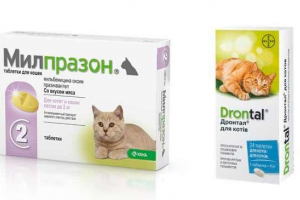 Метод за използване на таблетки от червеи milbemax за котка